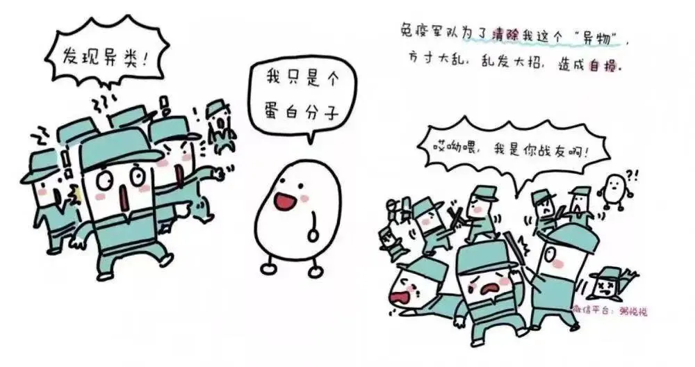 微信圖片_20240716092042.jpg