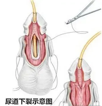微信圖片_20240722150709.jpg