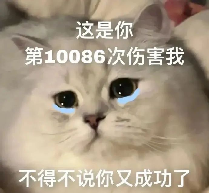 微信圖片_20240705145448.jpg